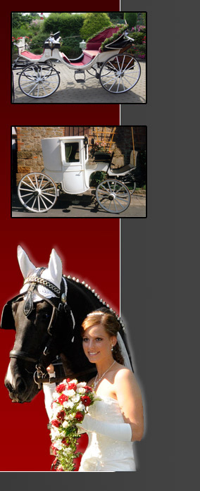 In der weien Hochzeitskutsche Maylord fhlen Sie sich wie ein Knigspaar.