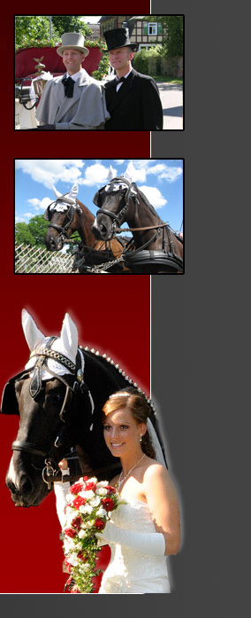 Hochzeitskutschen Service Dietmar und Reinhard Estor, Burgholz