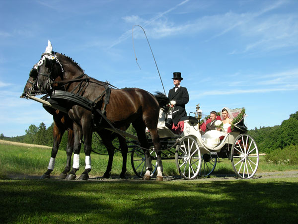 hochzeitskutschen001